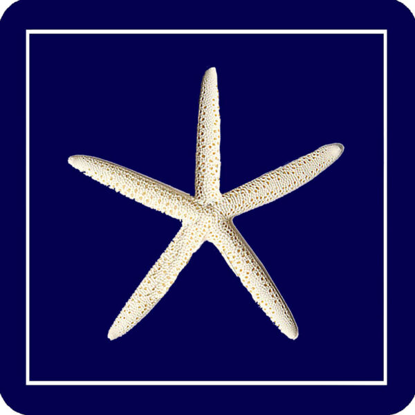 Navy Starfish Coaster