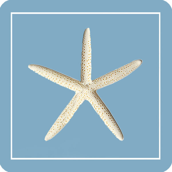 Ocean Blue Starfish Coaster