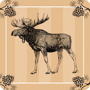 Moose Coasters (Gift Box of4) Min 6.