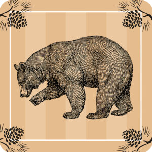 Bear Coasters (Gift Box of4) Min 6.