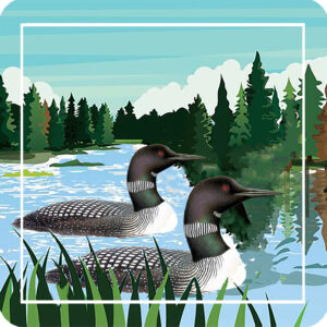 Loons Coasters (Gift Box of4) Min 6.