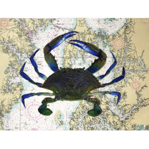 Blue Crab Outdoora TM Fabric Indoor/Outdoor Placemats (Min Dozen)