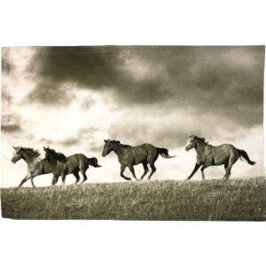 Horses Run Outdoora TM Fabric Placemats (Min Dozen)