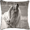 Serenity Chairs Pillow