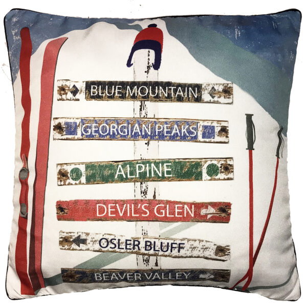 Ski Signs Custom Pillows