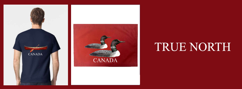 True North